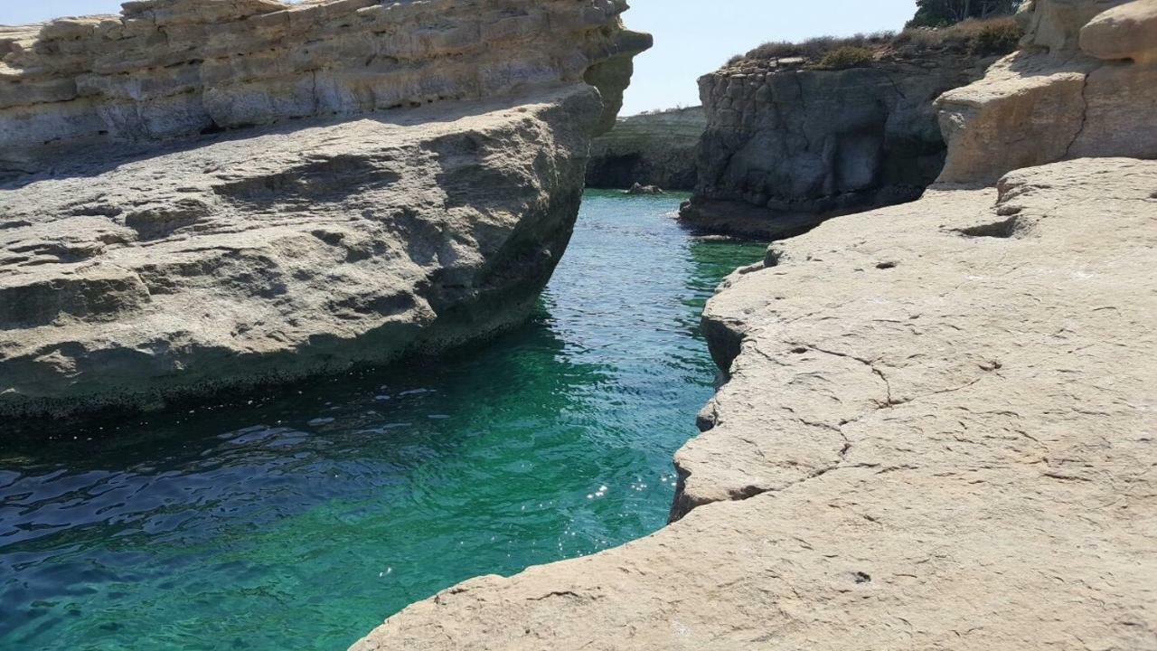 Love At First Sight نوتو المظهر الخارجي الصورة